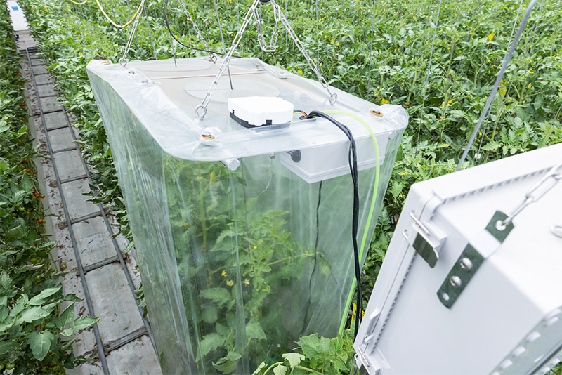 リアルタイム計測を行っている写真