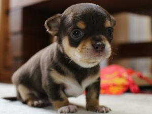 プロフィール写真